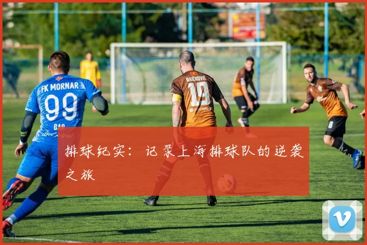 排球纪实：记录上海排球队的逆袭之旅